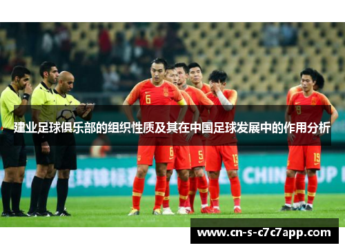 建业足球俱乐部的组织性质及其在中国足球发展中的作用分析